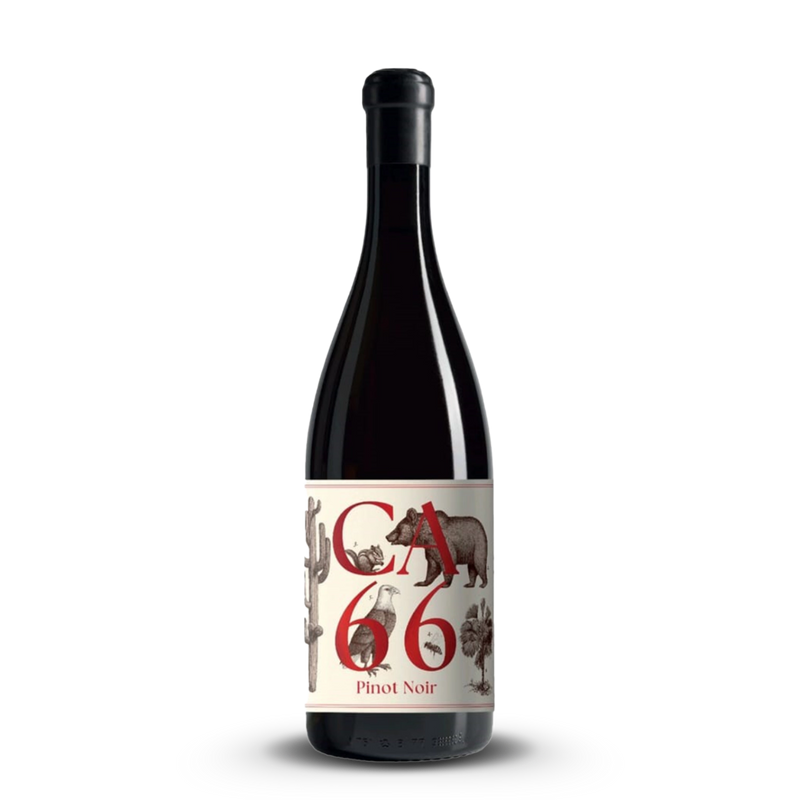 Weingut Hannes Sabathi CA 66 Pinot Noir