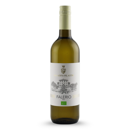 Saladini Pilastri Falerio Bianco DOC