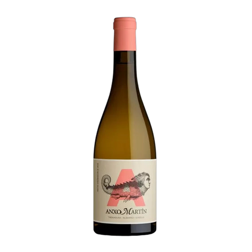 Anxo Martin Ribeiro Blanco