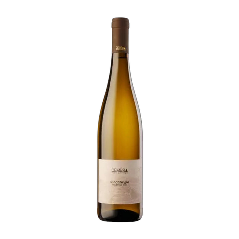 Cembra Pinot Grigio Trentino