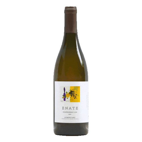 Enate Chardonnay 234