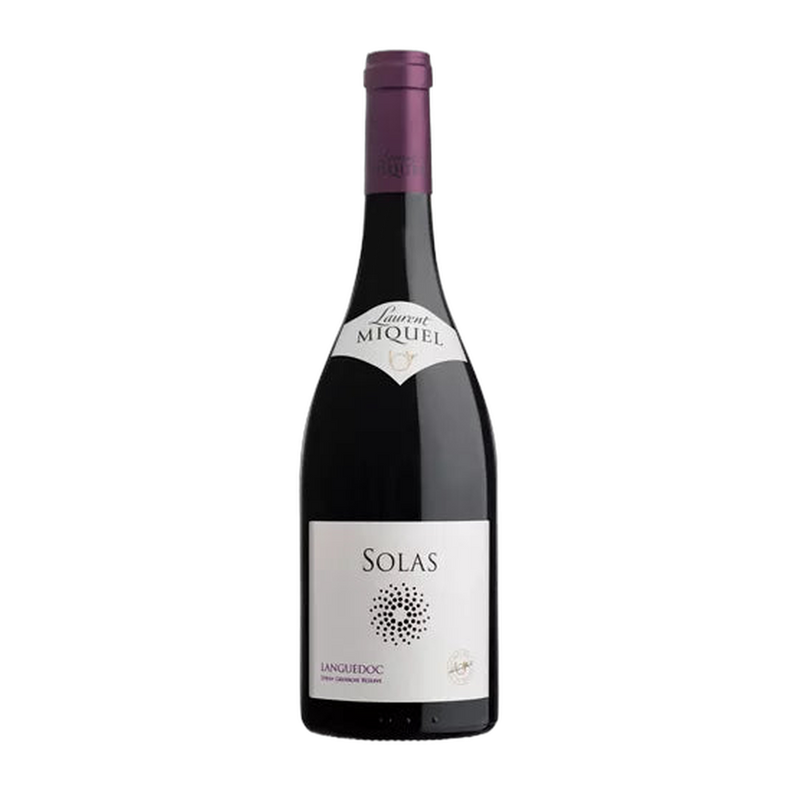 Laurent Miquel Solas Languedoc