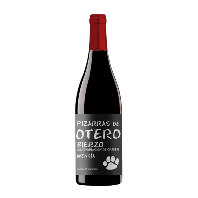 Martin Codax Pizarras de Otero Bierzo