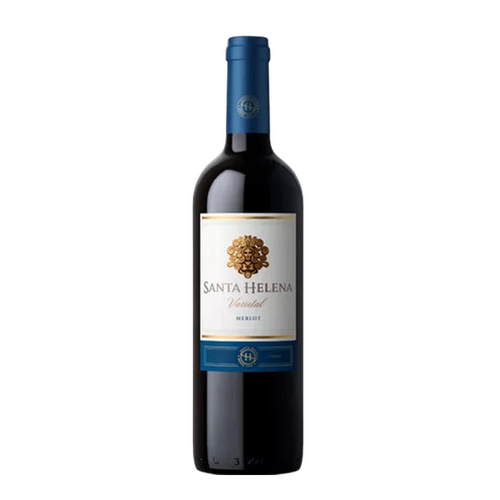 Cépage Merlot de Santa Helena