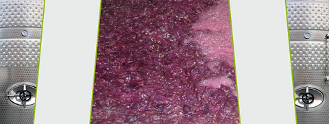 Wat is maceratie in het proces van wijn maken