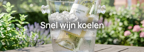 Hoe je snel een fles wijn koelt