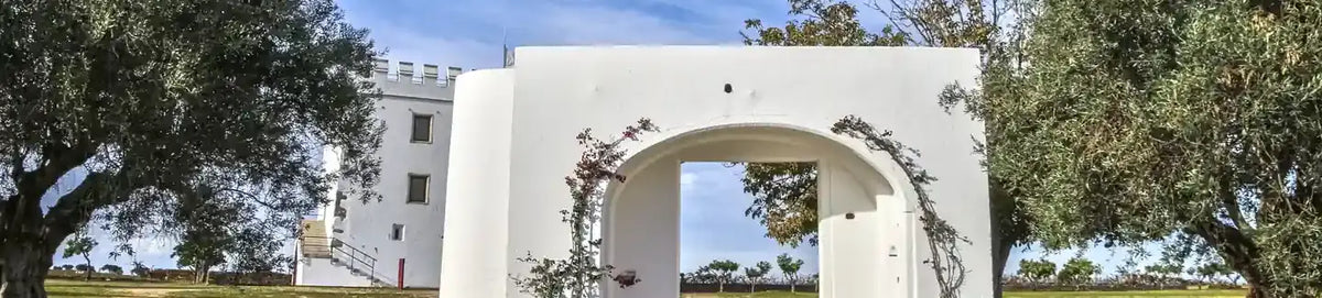 De Herdade do Esporão staat tussen olijfbomen in Reguengos de Monsaraz.