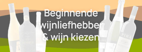 Hoe kies je een wijn als beginnende wijnliefhebber?