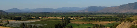 Uitzicht over wijngaarden en heuvels in Valle de Colchagua, Chili.
