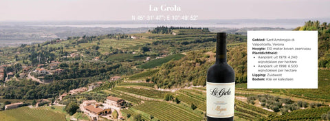 Wat is een Single Vineyard Wijn?