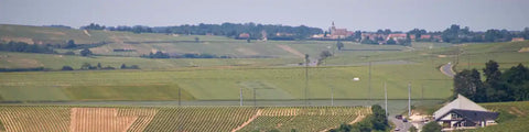 Een heuvellandschap met wijngaarden ligt rond Sancerre in de oostelijke Loire.