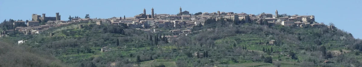 Panorama van de historische heuvelstad Montalcino in Toscane