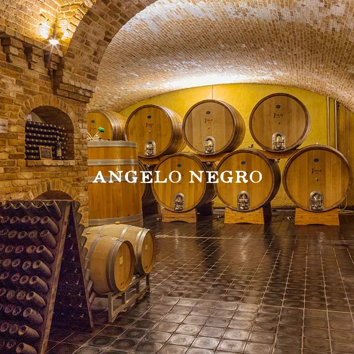 Azienda Agricola Angelo Negro — sfeerfoto met origineel logo