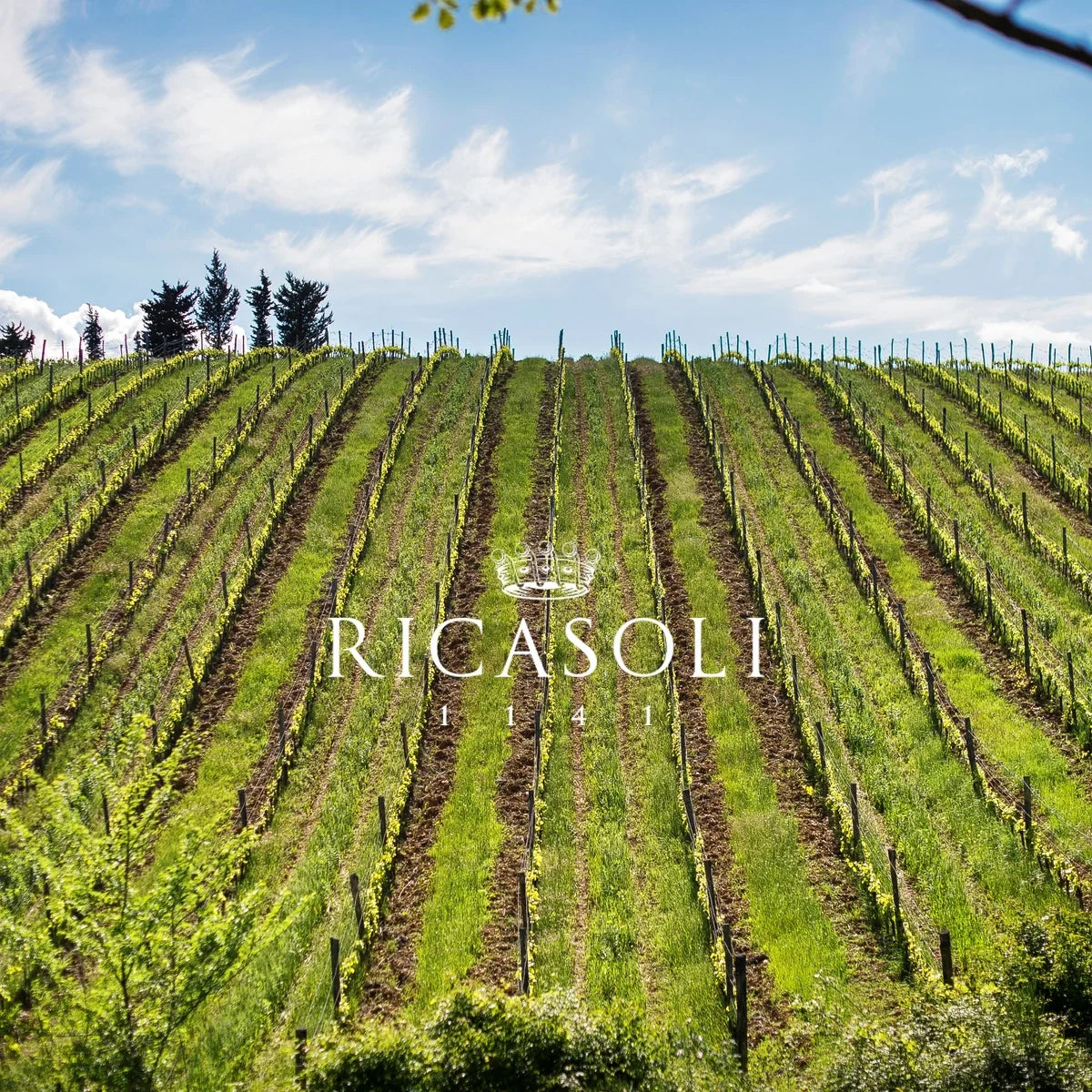 Barone Ricasoli