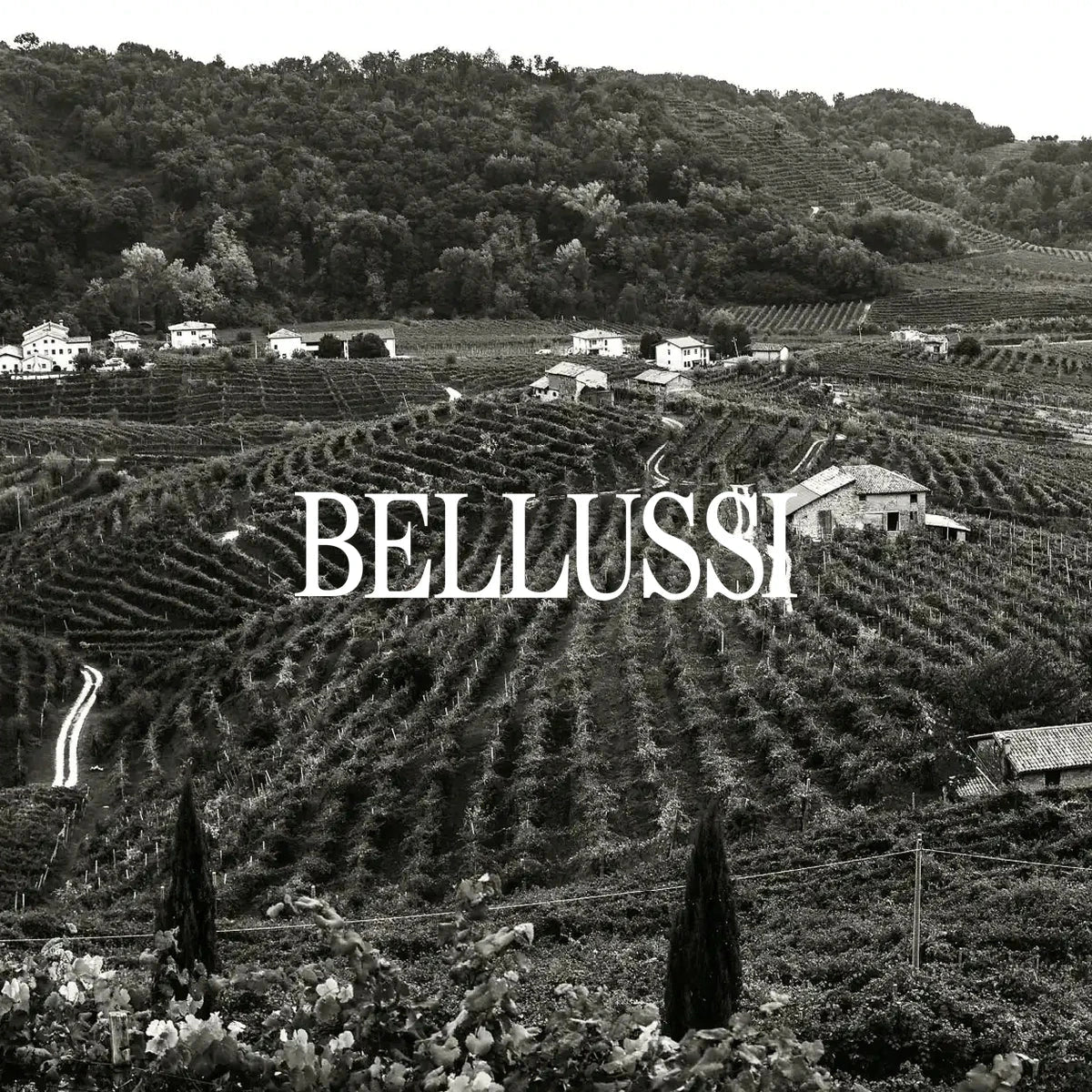 Bellussi — sfeerfoto met origineel logo