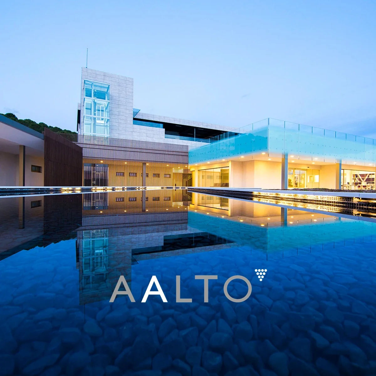 Bodegas Aalto — sfeerfoto met origineel logo