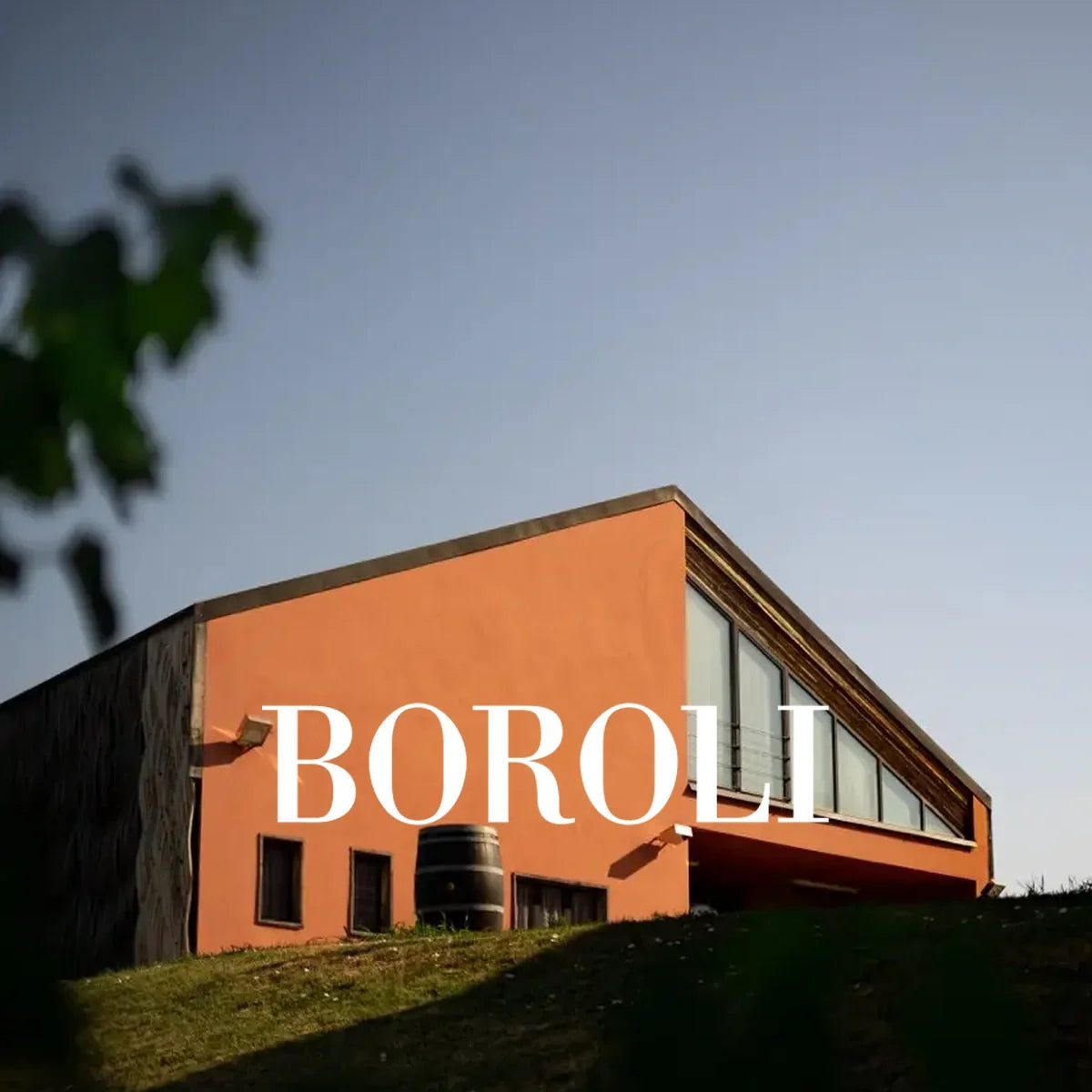 Boroli wijnhuis