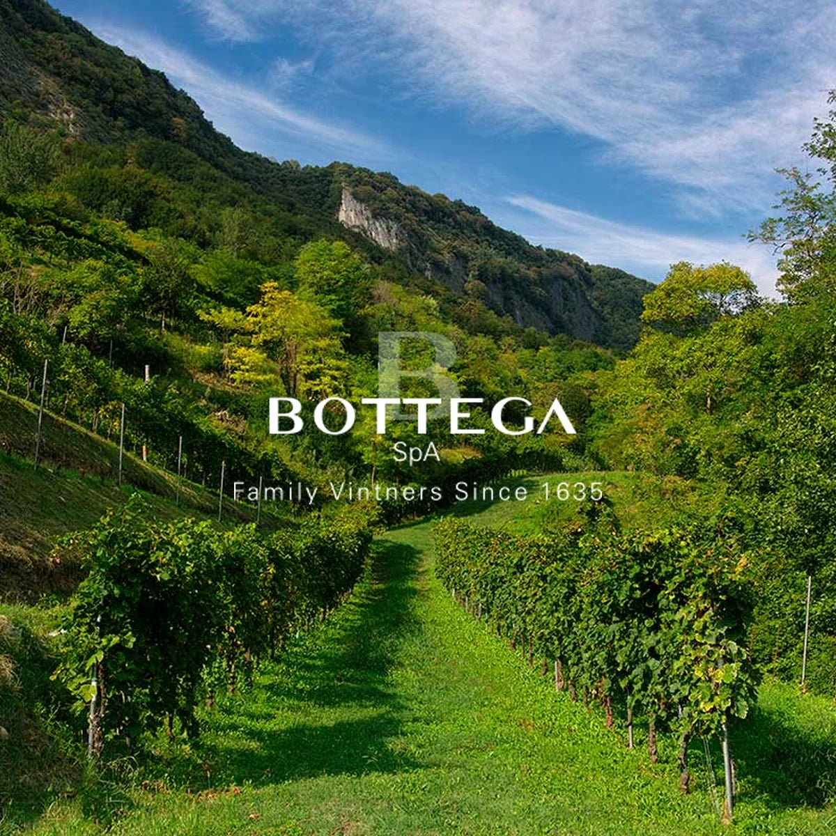 Bottega wijnhuis