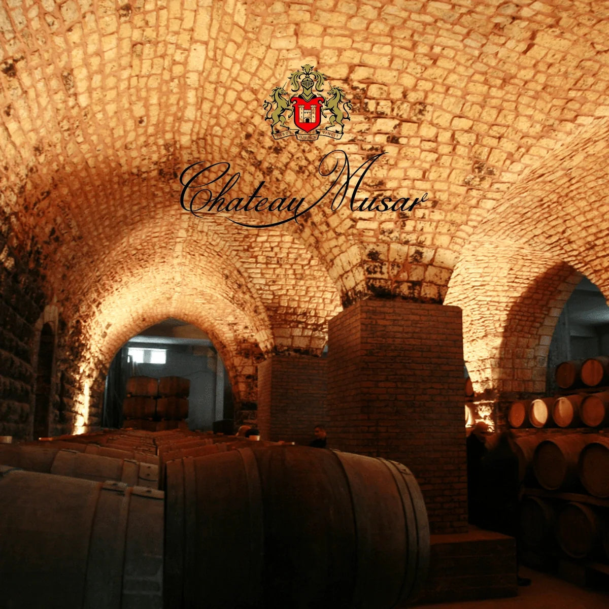 Château Musar, sfeerfoto met wijnhuislogo