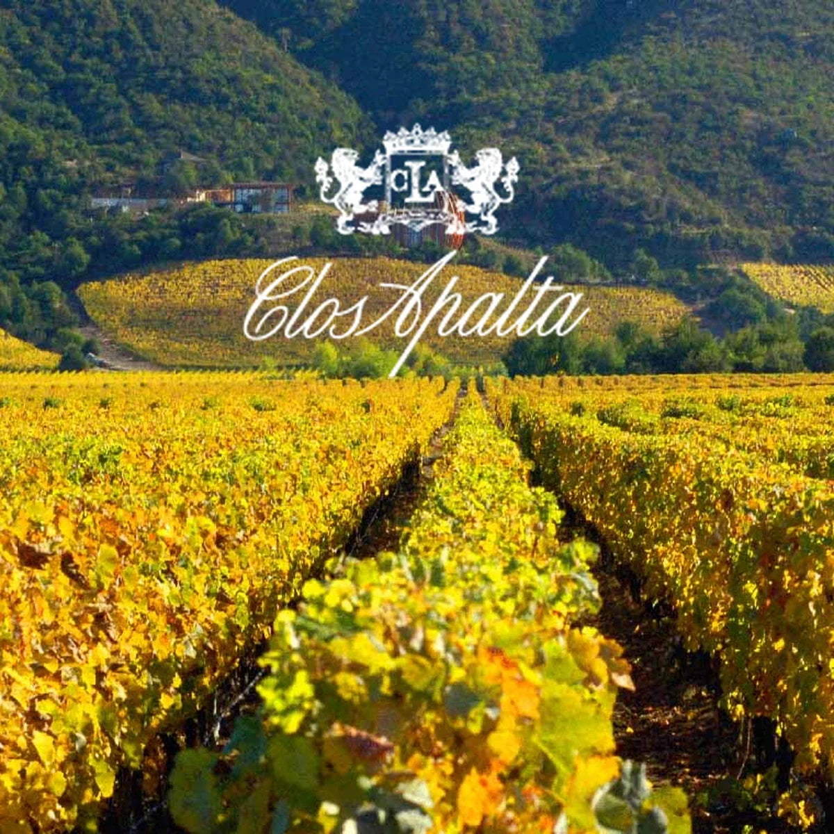 Clos Apalta, sfeerfoto met wijnhuislogo