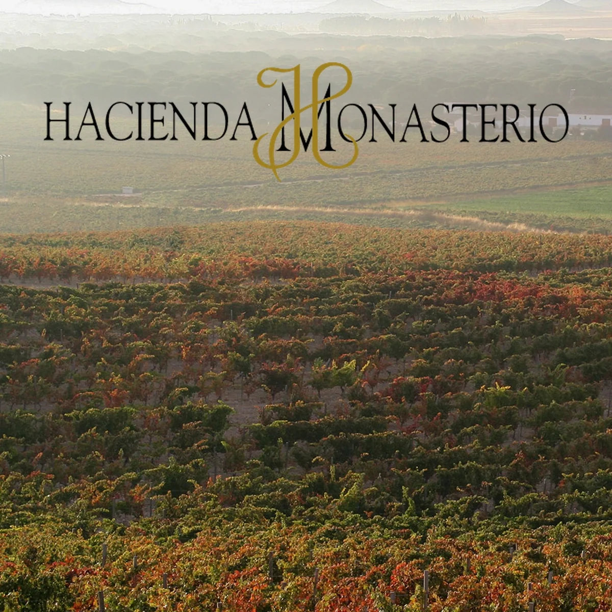 Hacienda Monasterio - wijnhuis met logo