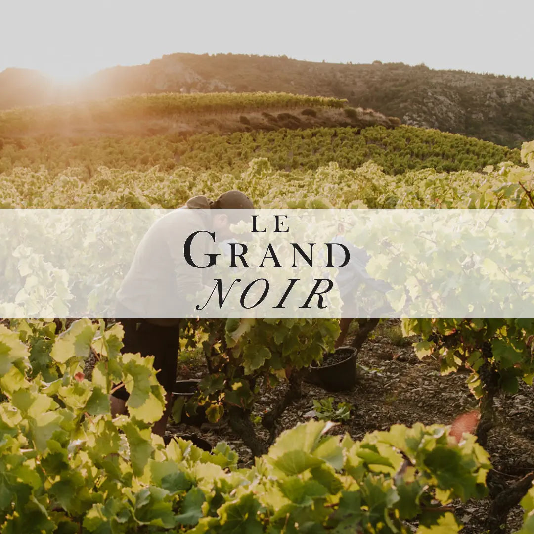 Le Grand Noir