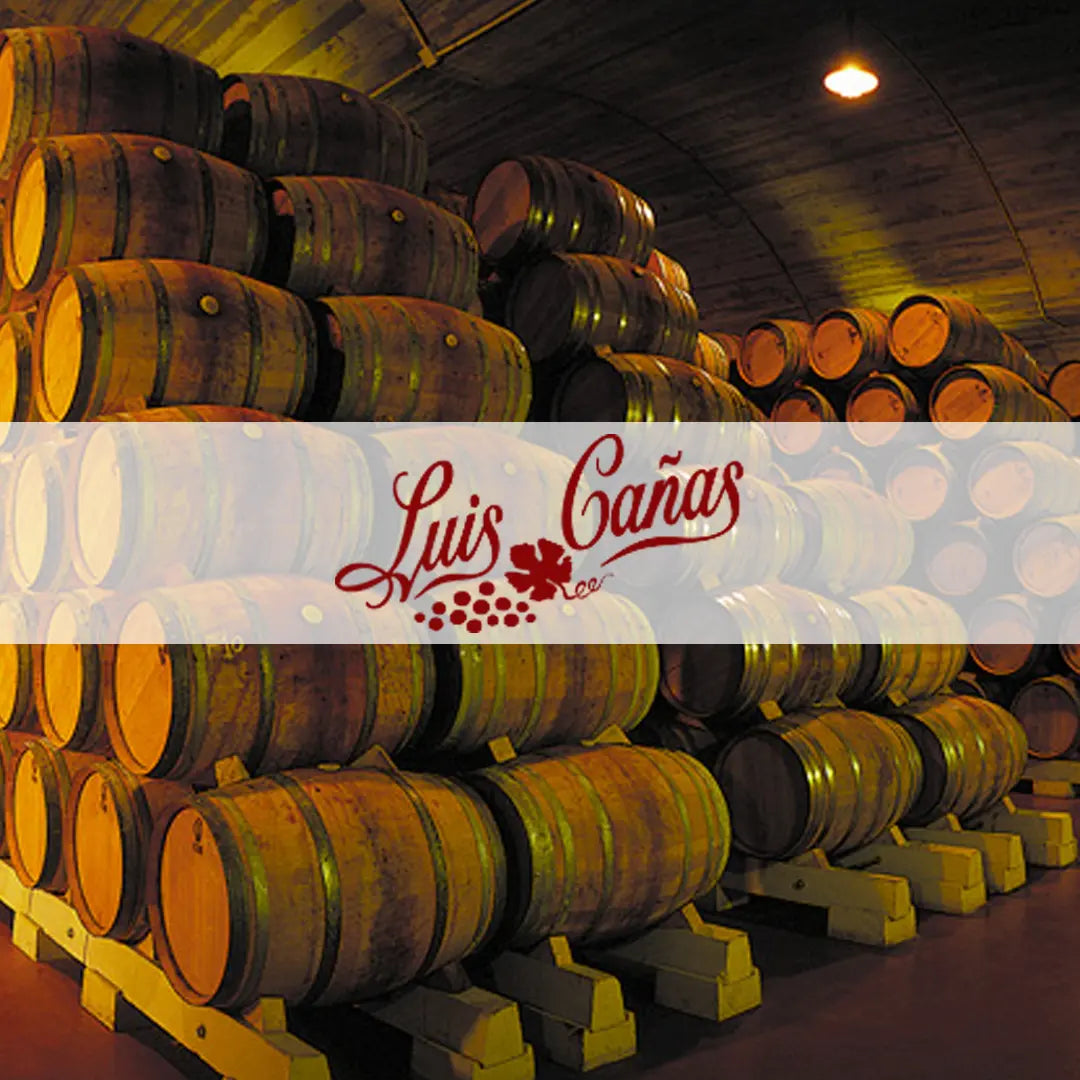 Luis Cañas