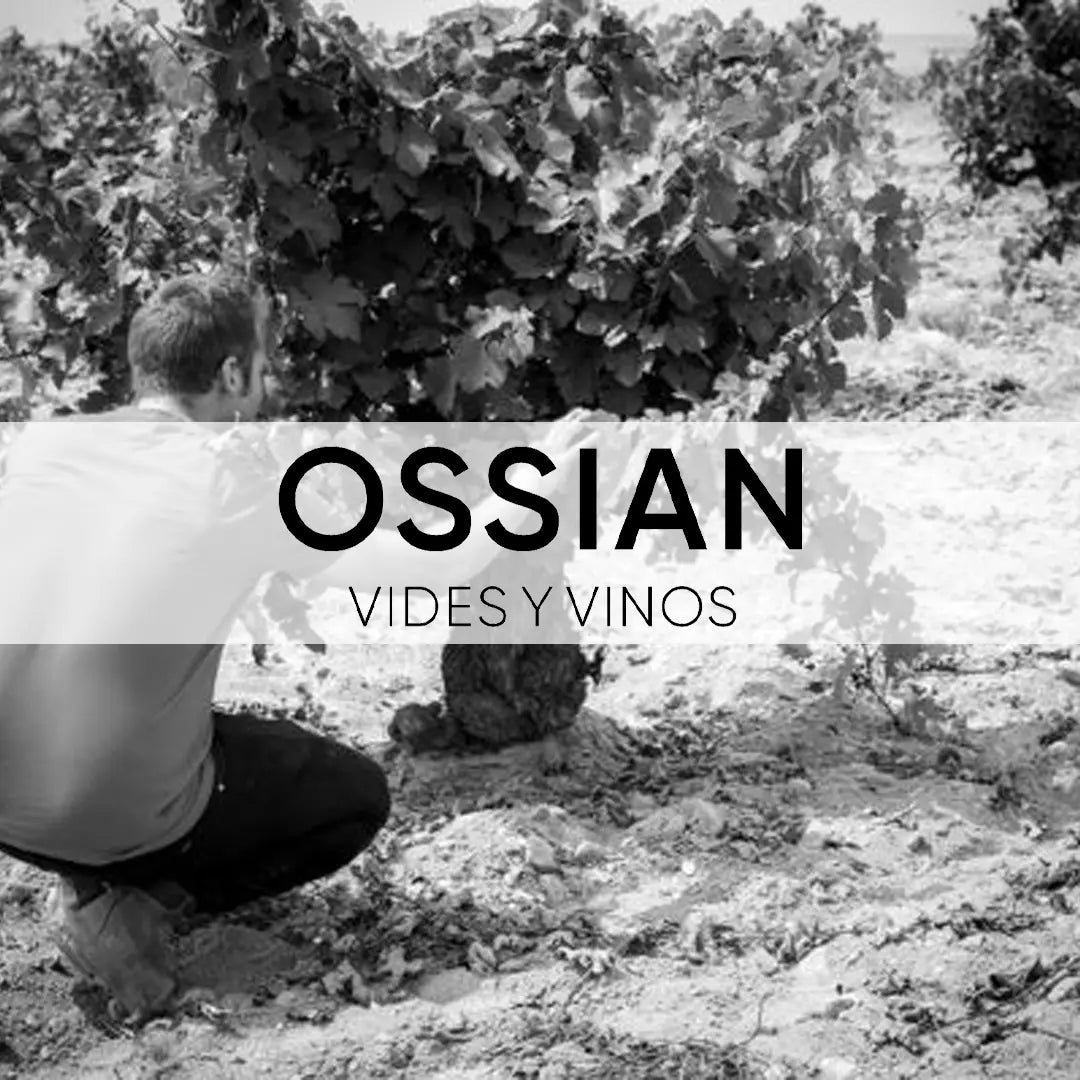 Ossian Vides Y Vinos