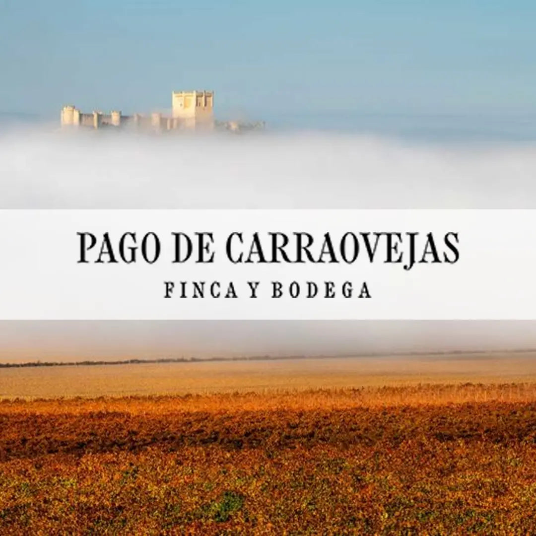 Pago de Carraovejas