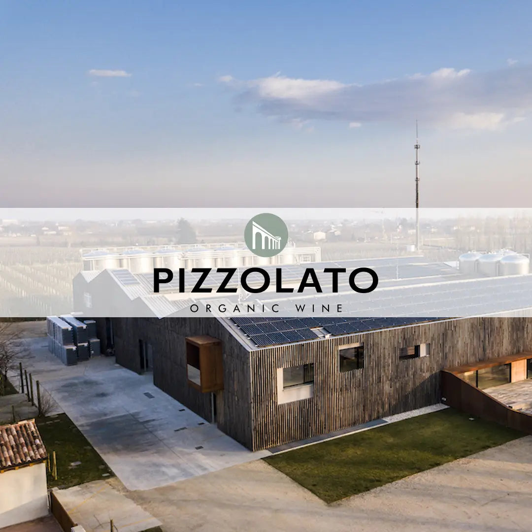 Pizzolato