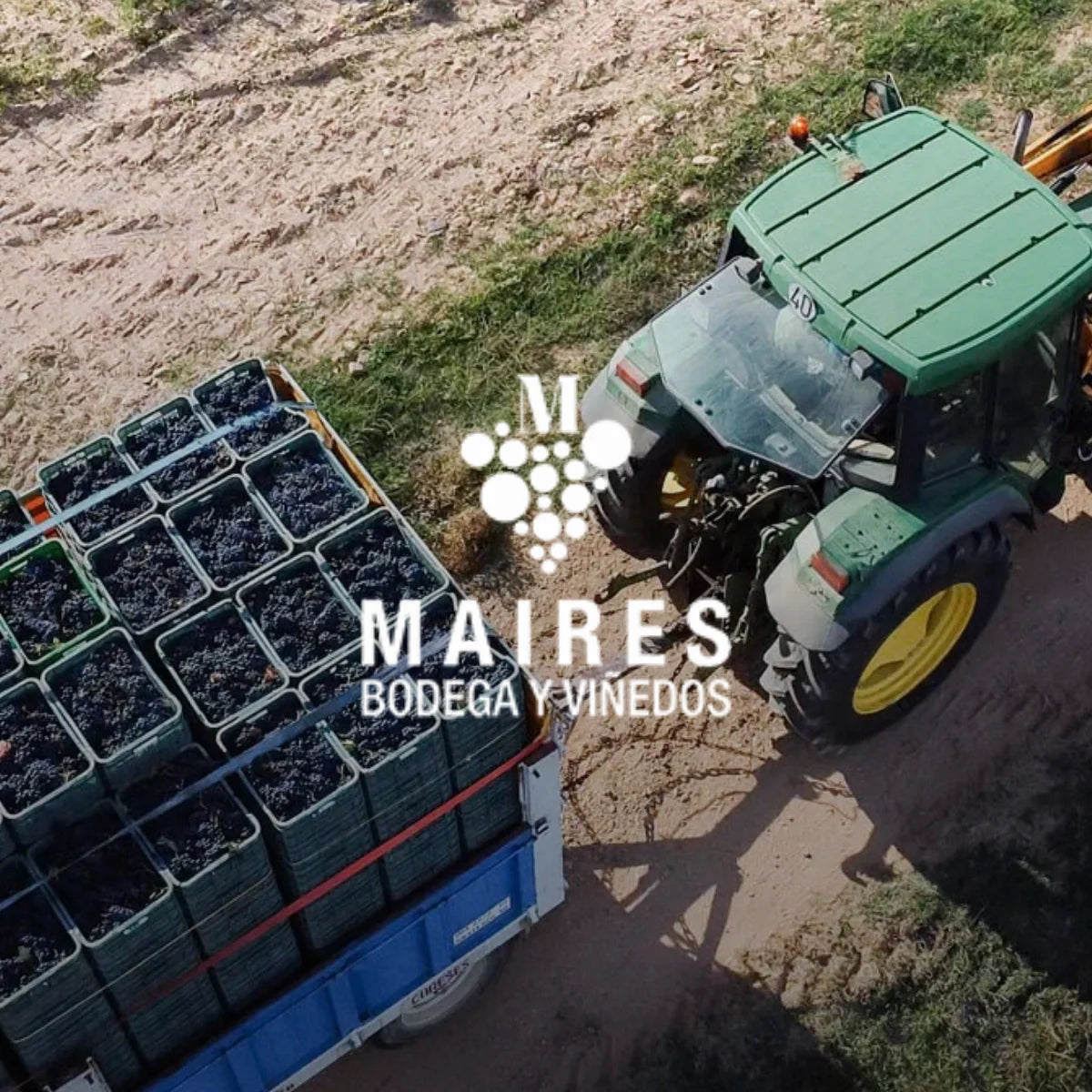 Bodegas y Vinedos Maires