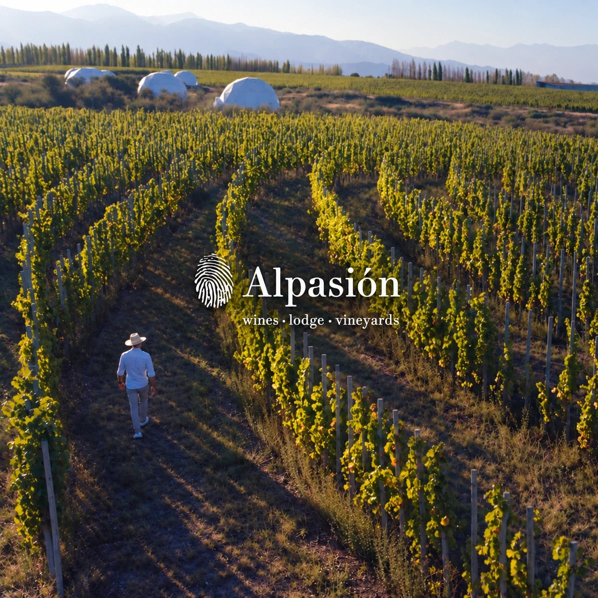 Alpasión, sfeerfoto met logo