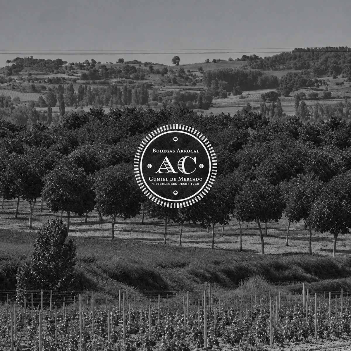 Bodegas Arrocal, sfeerfoto met logo