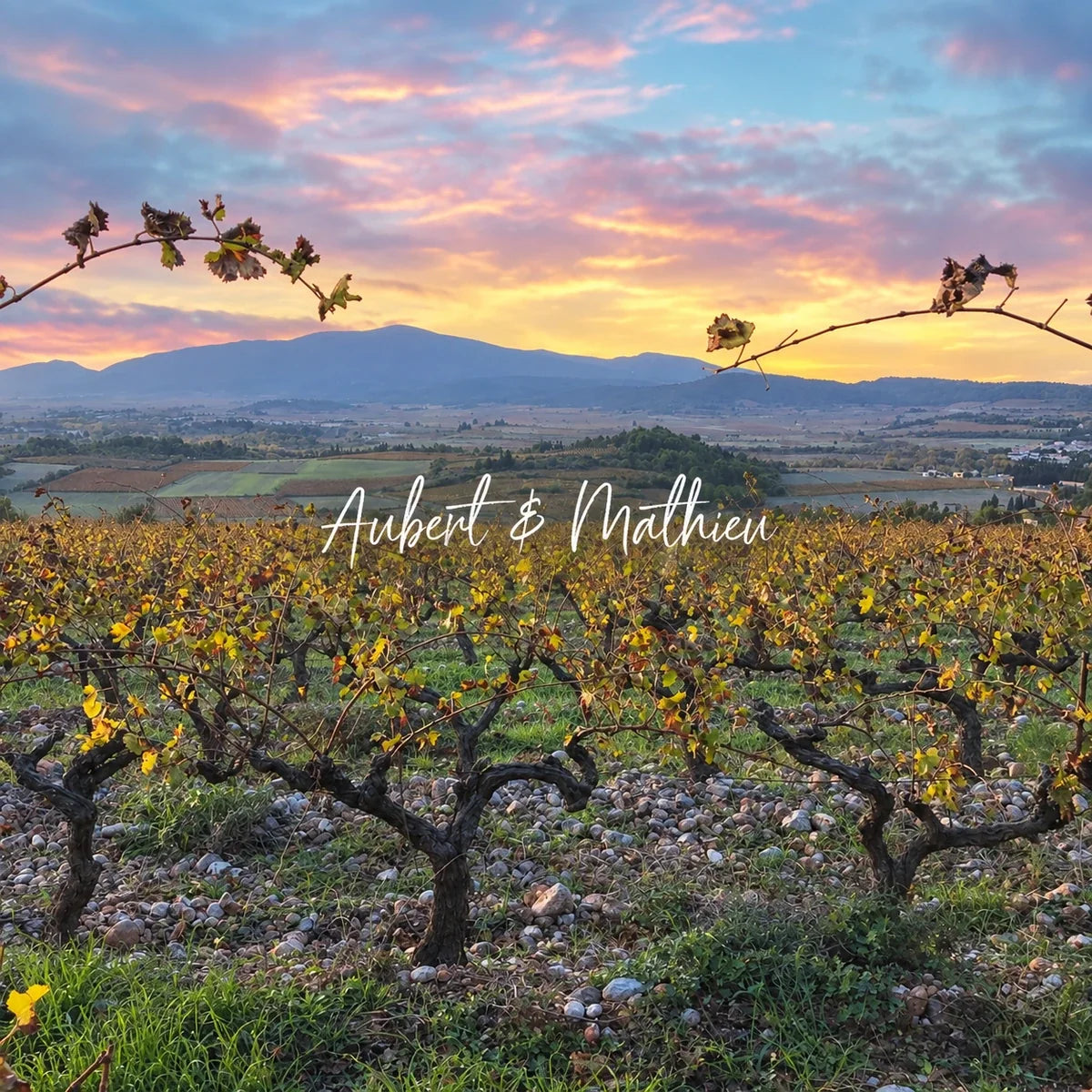 Aubert Mathieu, sfeerfoto met logo