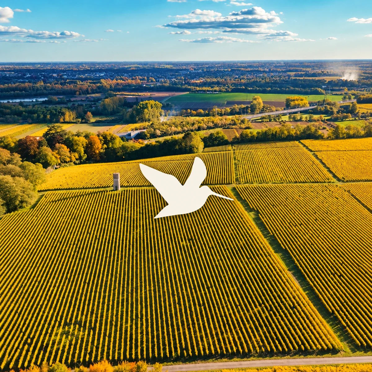 Domaine des Aubuisières - Bernard Fouquet, sfeerfoto met logo