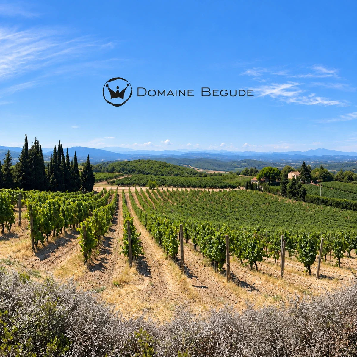 Domaine Begude, sfeerfoto met logo