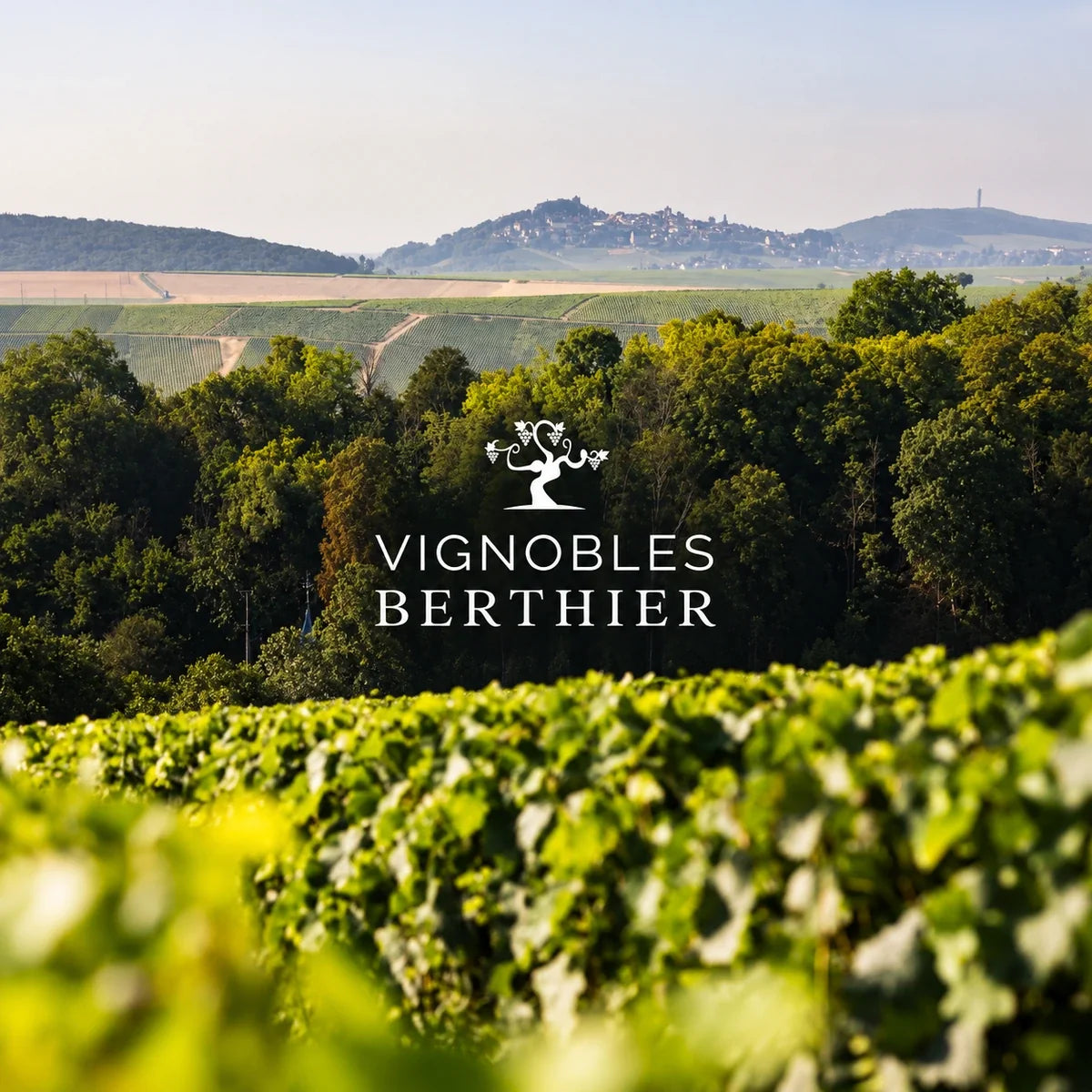 Vignobles Berthier, sfeerfoto met logo