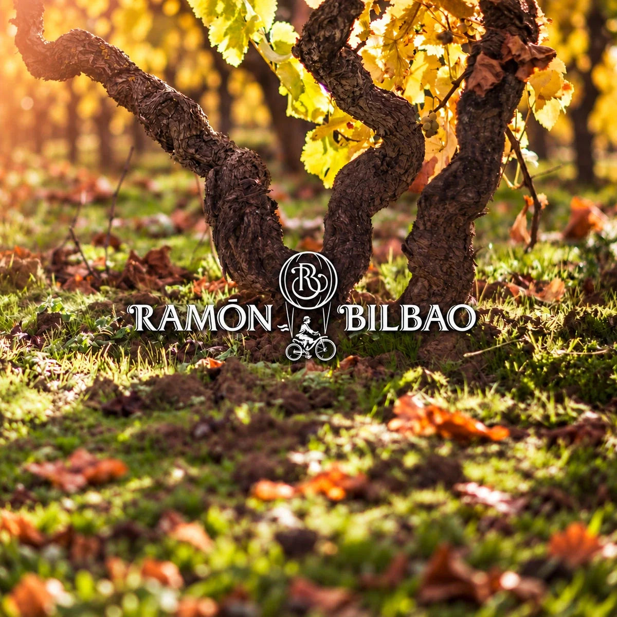 Ramon Bilbao, sfeerfoto met logo
