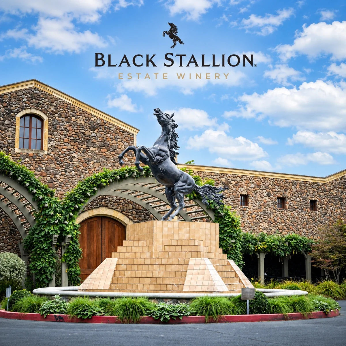 Black Stallion Estate Winery, sfeerfoto met logo