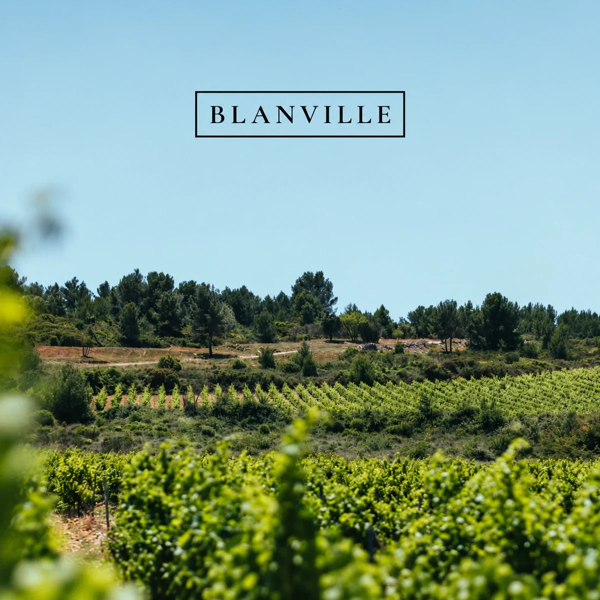 Château Haut Blanville, sfeerfoto met logo