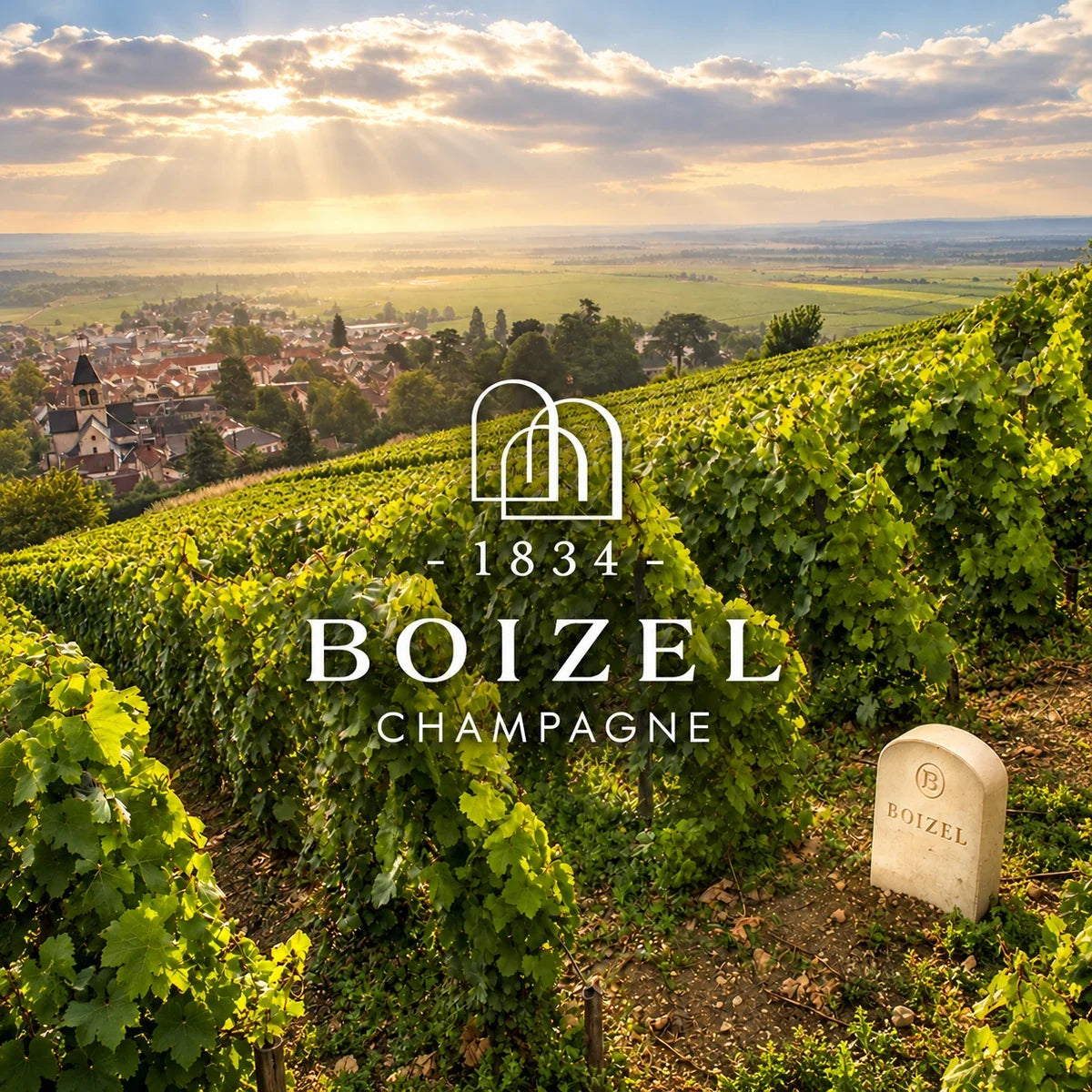 Boizel – wijnhuis of wijngaard met officieel logo