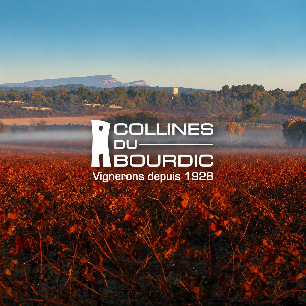 Bourdic, sfeerfoto met logo