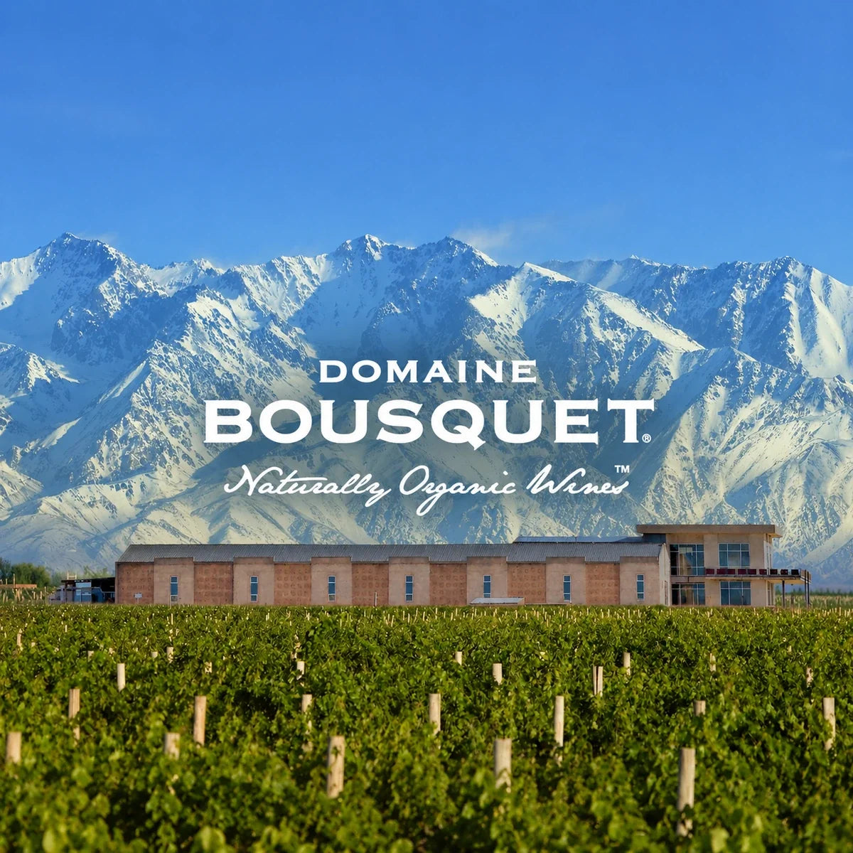 Domaine Bousquet, sfeerfoto met logo