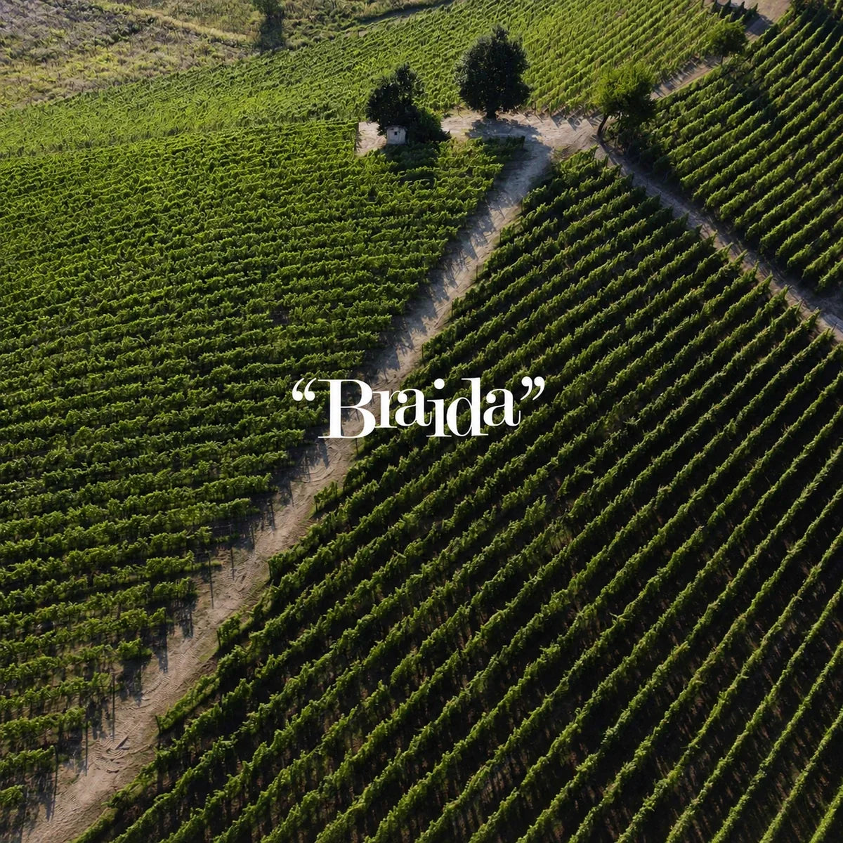 Braida, sfeerfoto met logo