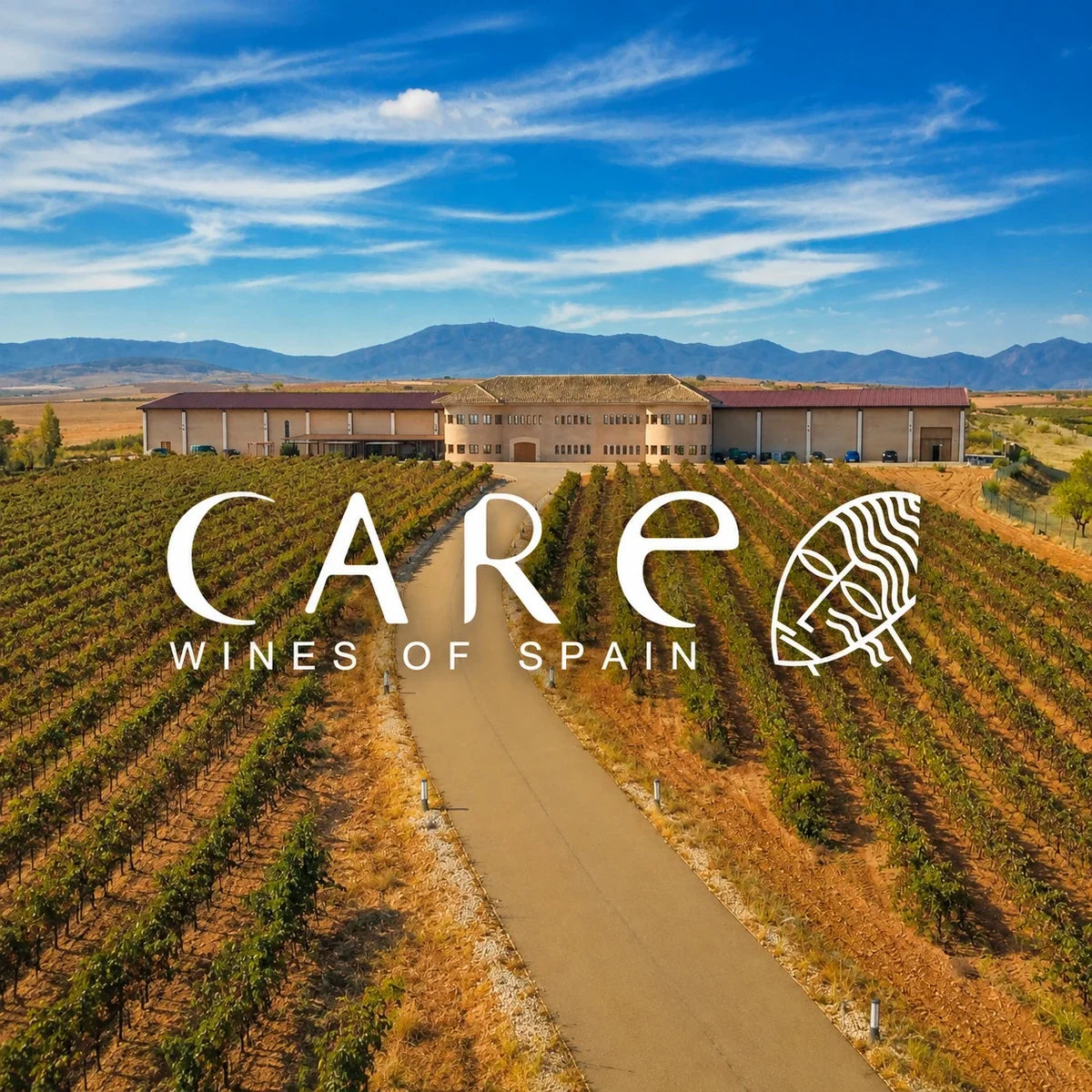Bodegas Anadas Cariñena Care, sfeerfoto met logo