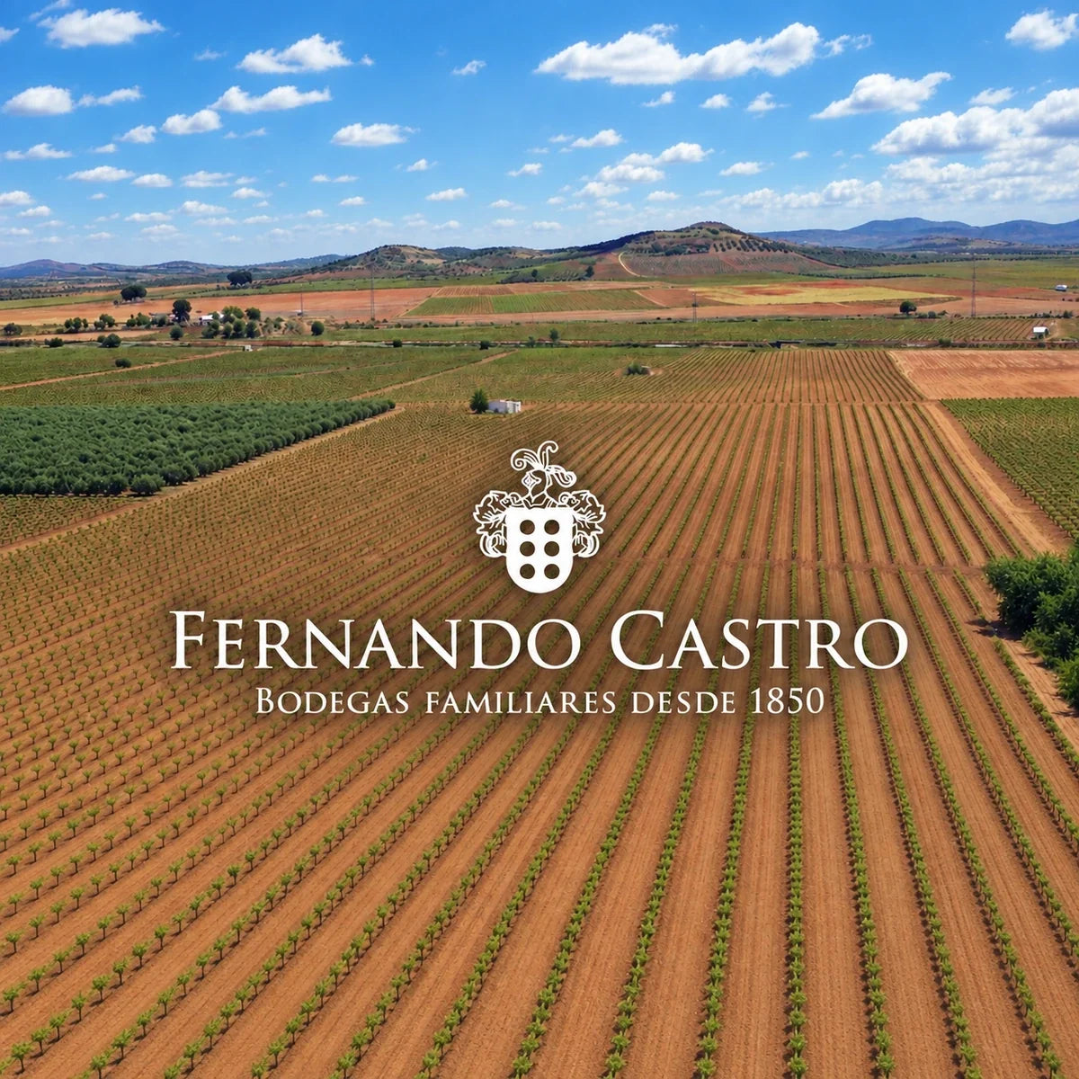 Bodegas Fernando Castro, sfeerfoto met logo