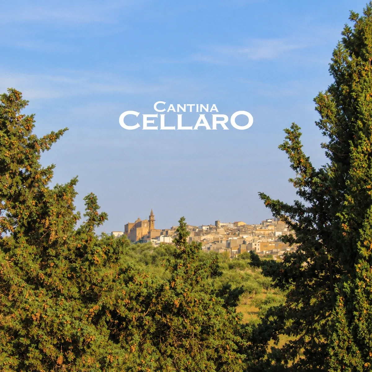 Cantine Cellaro, sfeerfoto met logo