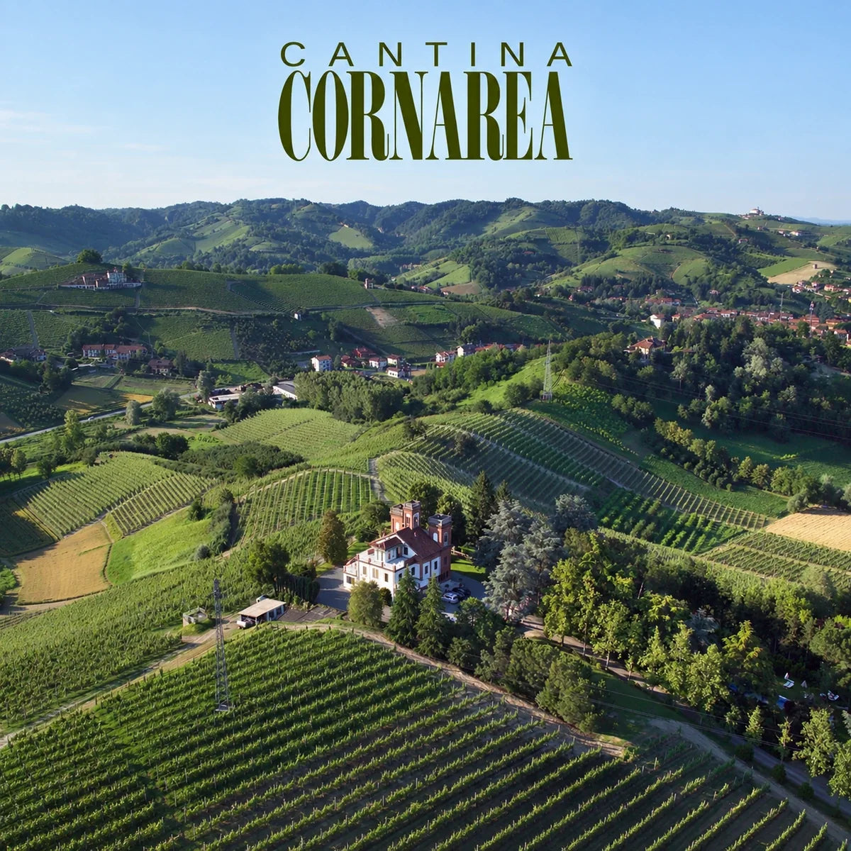 Azienda Agricola Cornarea, sfeerfoto met logo