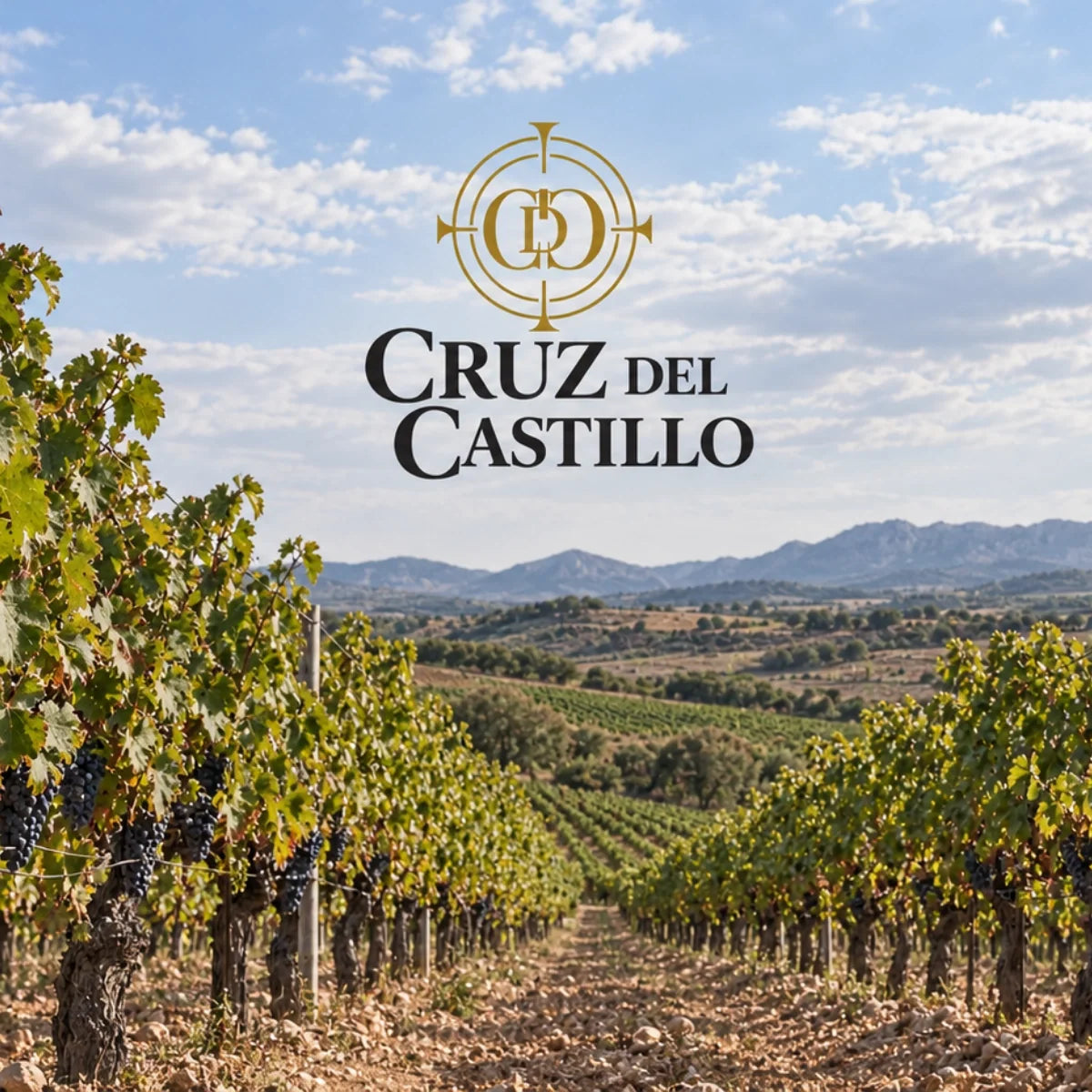 Cruz de Castillo