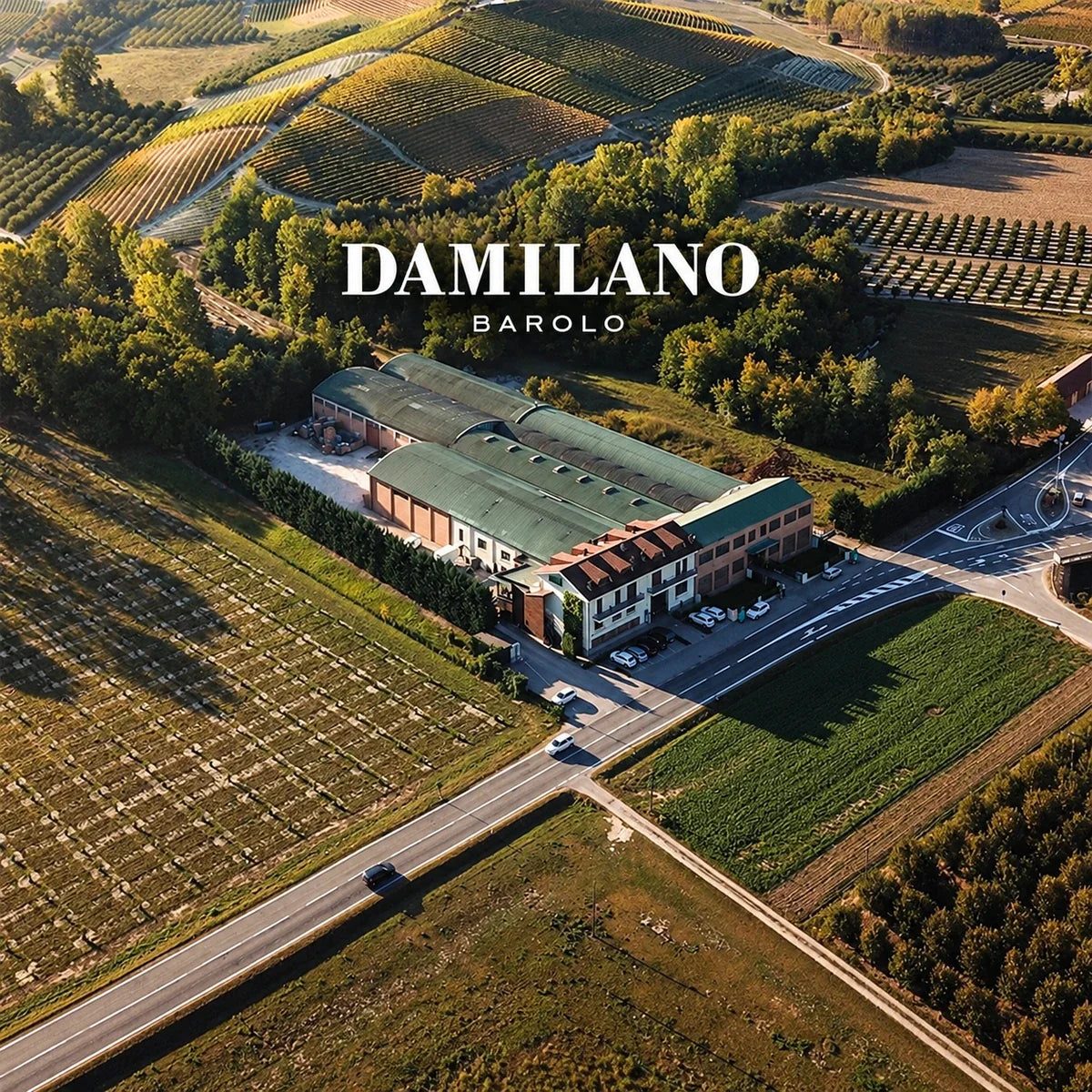 Damilano, sfeerfoto met logo